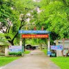 nền